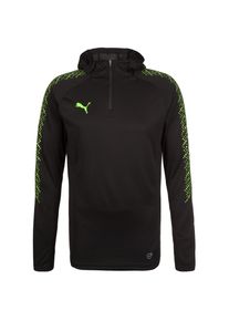 Puma, Herren Langarmshirt 'IT EVO TRAINING', Neongrün / Schwarz