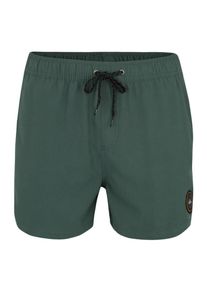Quiksilver, Herren Sportbadehose 'Everyday 15" Volley', Dunkelgr&uuml;n