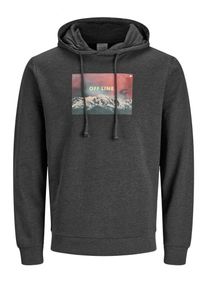 Jack & Jones JACK & JONES, Herren Hoodie, Graphit / Tanne / Pastellrot
