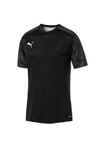 Puma, Herren Trainingstrikot 'Cup', Schwarz
