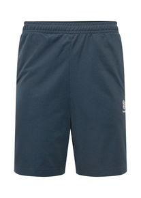 Reebok CLASSIC, Herren Shorts 'CL TAPED TRACKSH', Himmelblau