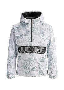 Jack & Jones JACK & JONES, Herren Jacke, Pastellgrün / Schwarz / Weiß
