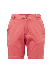 IZOD, Herren Shorts 'SALTWATER', Melone