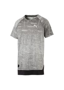 Puma, Herren T-Shirt 'Energy Tech', Greige / Schwarz / Weiß