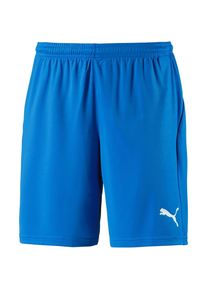 Puma, Herren Fußballshorts, Blau / Weiß
