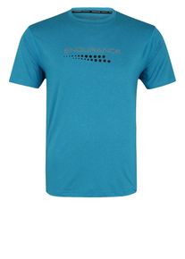 Endurance, Herren Funktionsshirt 'Carbondale', Himmelblau / Grau / Schwarz