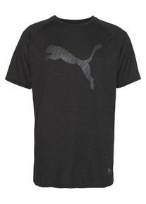 Puma, Herren Shirt 'A.C.E. Heather Cat', Schwarz / Silber