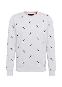 Superdry, Herren Sweatshirt 'AOE CREW SWEAT', Grau