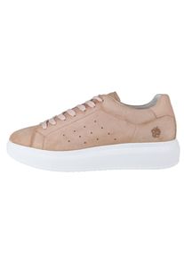 Apple of Eden, Damen Sneaker 'DANIELA', Beige