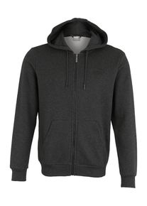 Puma, Herren Sport-Sweatjacke 'Elevated ESS', Dunkelgrau