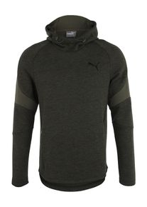 Puma, Herren Kapuzenpullover 'Evostripe', Khaki