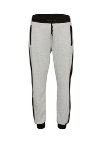 MICHALSKY FOR ABOUT YOU, Herren Jogger 'Lukka', Grau