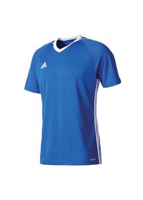 adidas Performance, Herren Trikot 'Tiro 17 BK5437', Blau