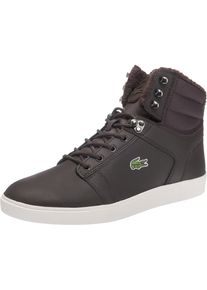 Lacoste, Herren Orelle Sneakers, Dunkelbraun / Weiß
