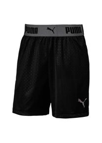 Puma, Shorts, Dunkelgrau / Schwarz
