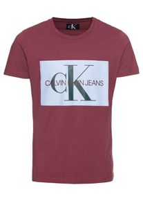 Calvin Klein Jeans, Herren Poloshirt, Hellblau / Weinrot / Schwarz