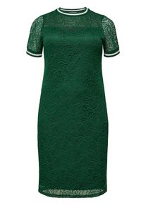 Only Carmakoma, Damen Detailliertes Curvy Kleid, Grün / Weiß