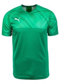 Puma, Herren Fu&szlig;balltrikot 'Cup', Gr&uuml;n