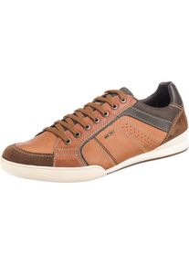 Geox, Herren Sneakers 'Kristof', Braun / Cognac