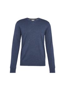 Esprit, Herren Pullover 'Basic CO V-nk', Marine