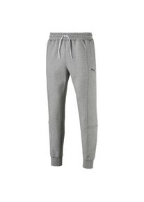 Puma, Herren Pants, Grau