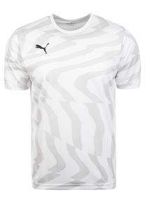 Puma, Herren Trikot 'Cup Core', Hellgrau / Wei&szlig;