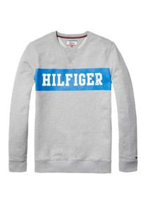 Tommy Jeans, Herren Sweatshirt mit Print, Grau