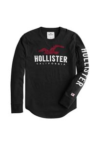 Hollister, Herren Shirt 'ICONIC', Weinrot / Schwarz / Weiß