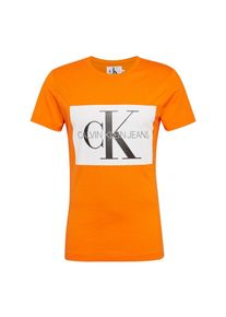 Calvin Klein Jeans, Herren Poloshirt, Dunkelblau / Orange / Weiß