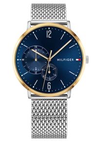 Tommy Hilfiger, Herren Uhr, Navy / Gold / Silber