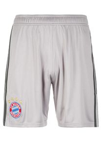 adidas Performance, Herren Torwartshort 'FC Bayern München Home 2018/2019', Grau