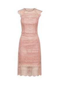 Chi Chi London, Damen Kleid, Rosa