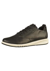 Geox, Herren Sneaker, Schwarz