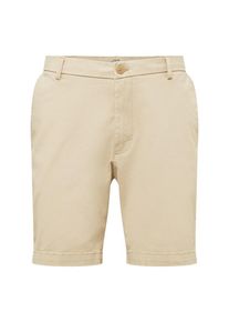 IZOD, Herren Shorts 'SALTWATER', Beige