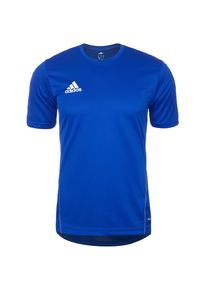 adidas Performance, Herren 'Core 15' Trainingsshirt, Blau / Weiß