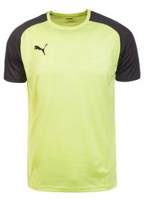 Puma, Herren Trainingsshirt 'Cup', Gelb / Graphit