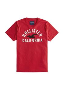Hollister, Herren Shirt 'ARCH+BLOCKING TECH LOGO', Rot