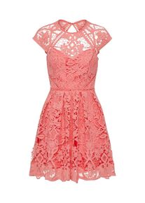 Laona, Damen Spitzenkleid, Koralle