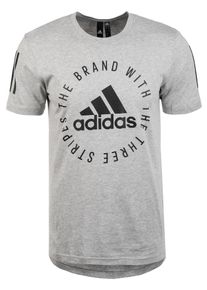adidas Performance, Herren Trainingsshirt 'Sport ID', Grau