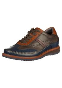 Daniel Hechter, Herren Halbschuhe, Navy / Cognac / Dunkelgrau