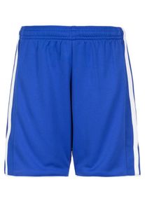 adidas Performance, Shorts 'Tastigo 17', Blau / Wei&szlig;