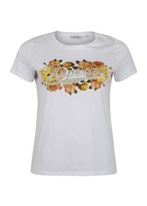 Only Carmakoma, Damen - Shirts & Tops 'carROSIE SS TEE', Mischfarben / Weiß