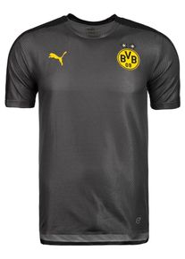 Puma, Herren Shirt 'Borussia Dortmund', Gelb / Anthrazit