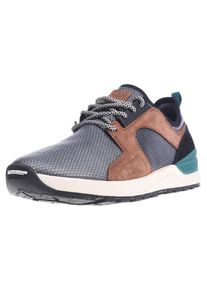 Etnies, Herren Sneaker 'Cyprus Scw', Braun / Grau / Petrol / Schwarz