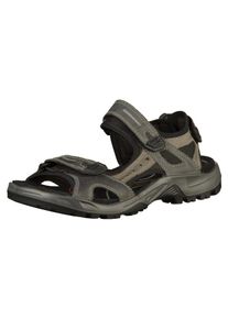 Ecco, Herren Sandalen, Dunkelbeige / Dunkelgrau