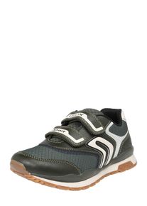 Geox, Sneaker 'Pavel', Beige / Blau / Khaki