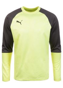 Puma, Herren Trainingsshirt 'Cup', Gelb / Anthrazit