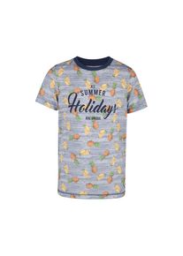 WE Fashion, T-Shirt 'Oisin', Taubenblau