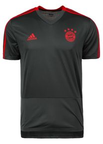 adidas Performance, Herren Trainingsshirt 'FC Bayern München', Basaltgrau / Neonrot