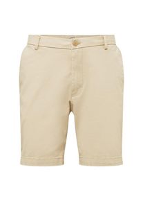 IZOD, Herren Shorts 'SALTWATER', Beige